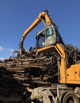 WhatsApp Image 2026-02-27 at 12.14.02