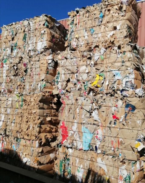 WhatsApp Image 2026-02-27 at 12.14.04